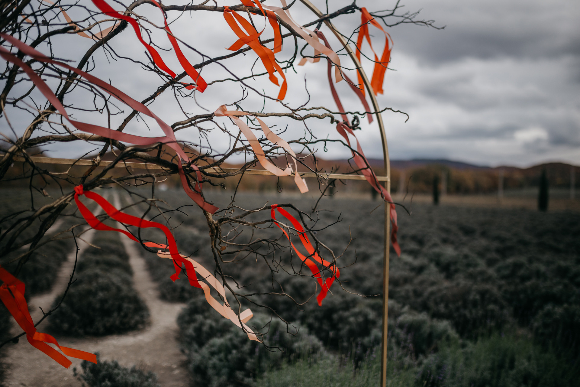 Фотографии о любви