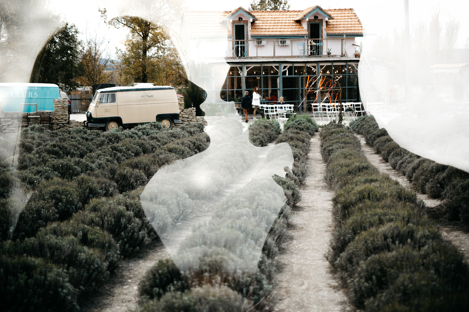 Фотографии о любви