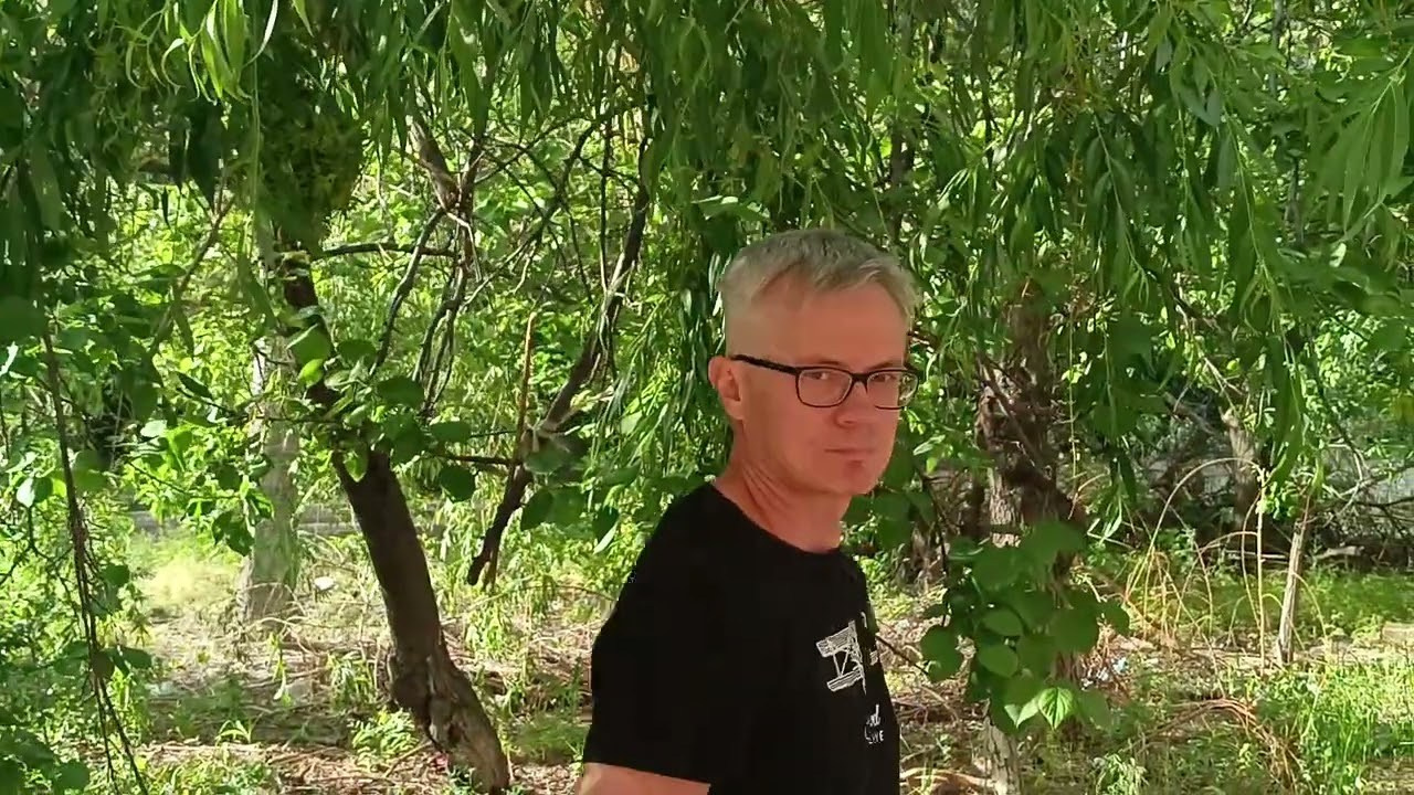 Видеотека. Марина Рыбкина — Глубинная психология