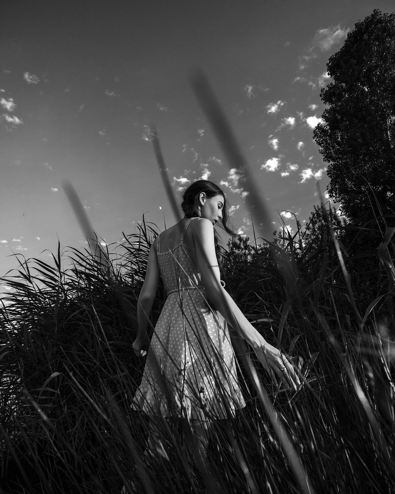 камыши и Даша