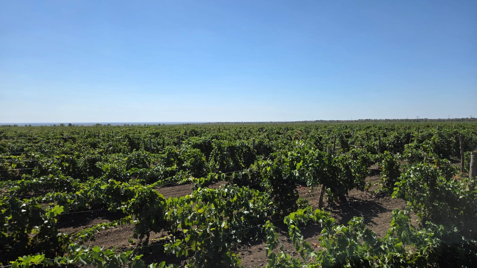 Винзаводы. Инвестиционный консалтинг Недвижимость