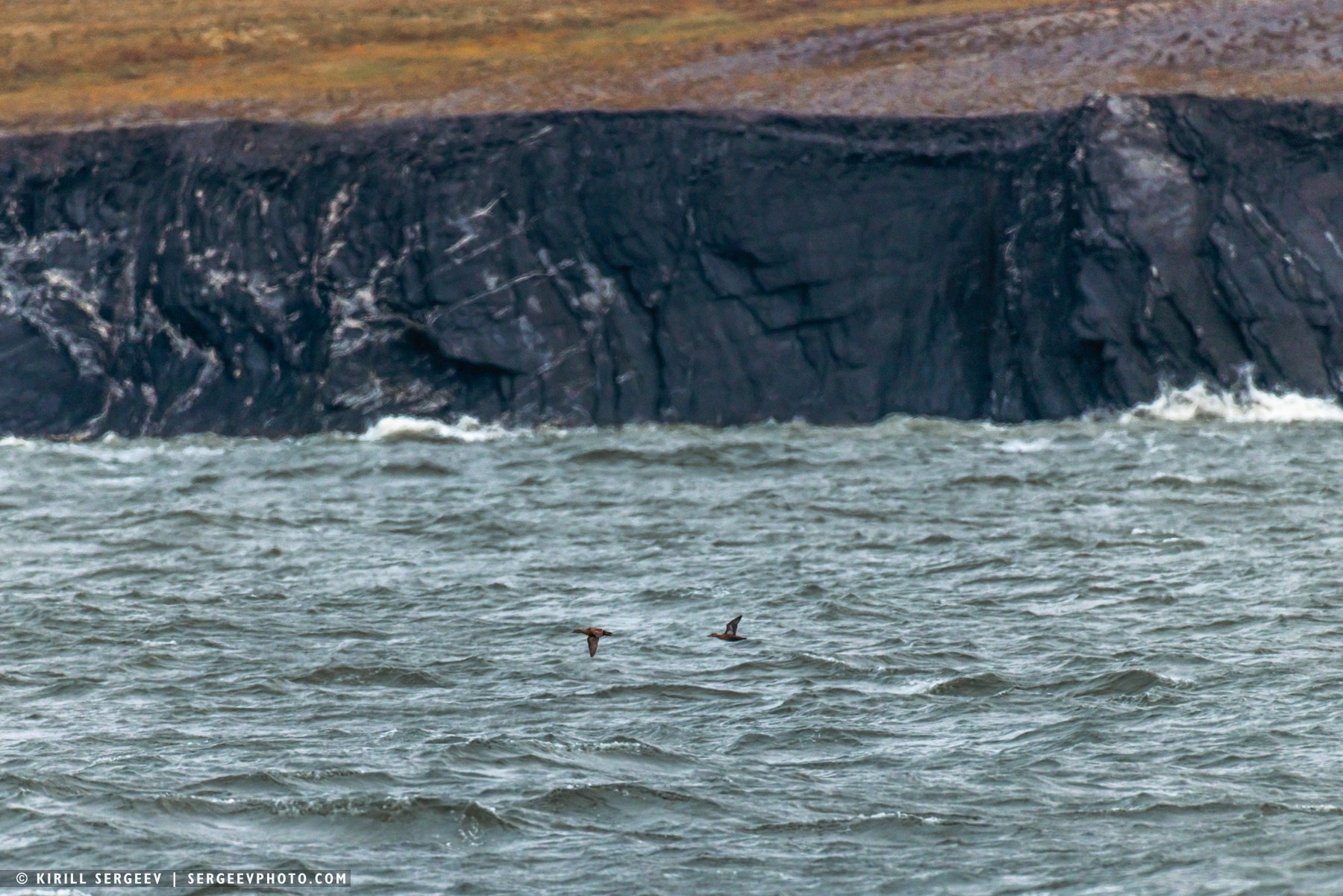 北極奧德賽. 攝影師 基里爾·謝爾蓋耶夫 |莫斯科