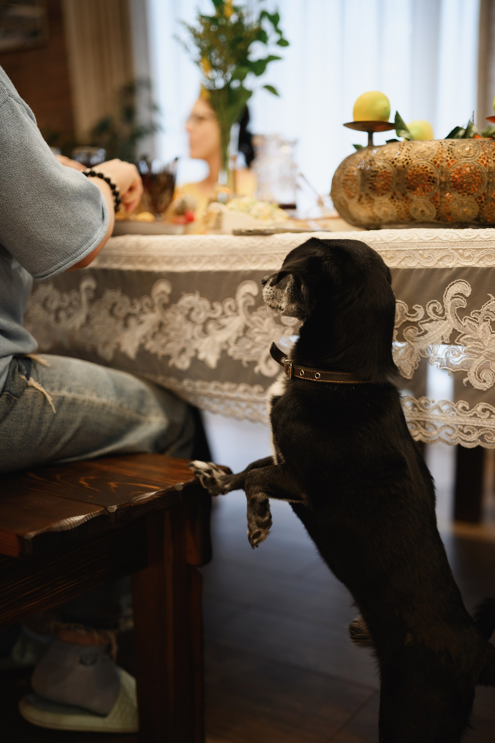 Семейный день рождения в уютной атмосфере, живые эмоции гостей, репортажная съёмка мероприятия, Петропавловск-Камчатский.
