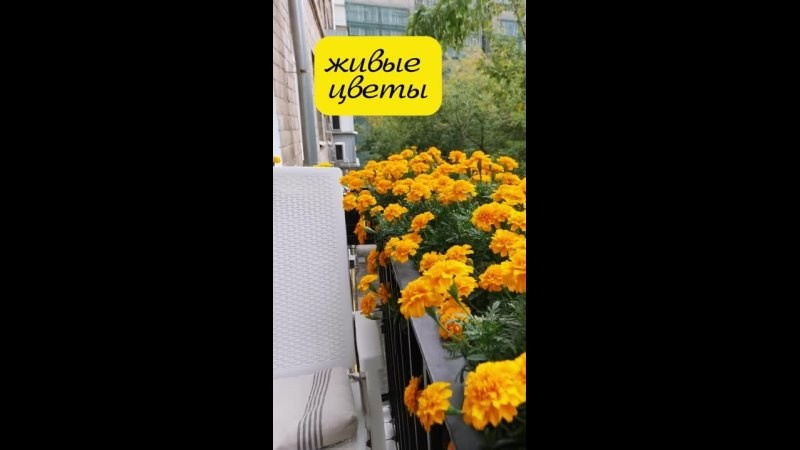 Видеосъемка Недвижимости в Москве. Аудио, фото, видео услуги в Москве и области