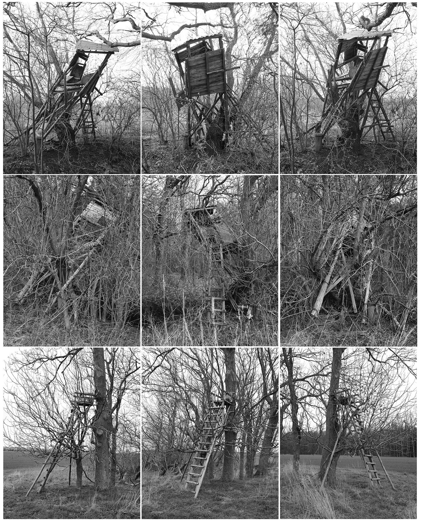 ИГРЫ, В КОТОРЫЕ ИГРАЮТ ФОТОГРАФЫ. Самоорганизация Низина