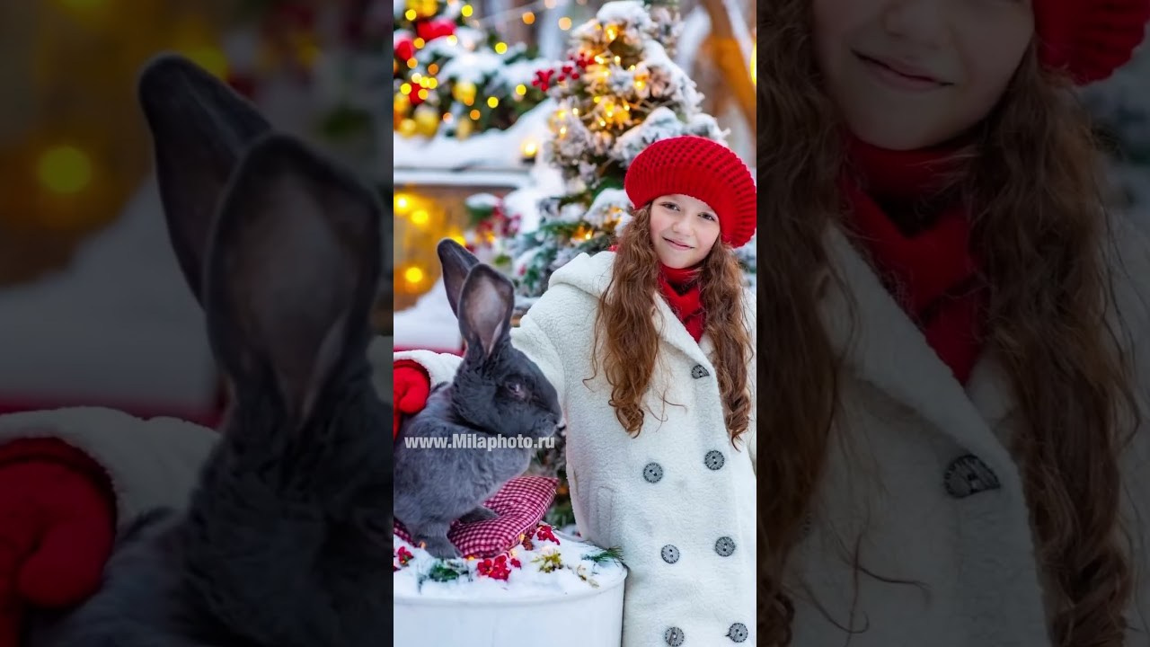 Рилс. Фото и видео Москва. Свадебный фотограф, видеограф, фотосессии, видеосъемка