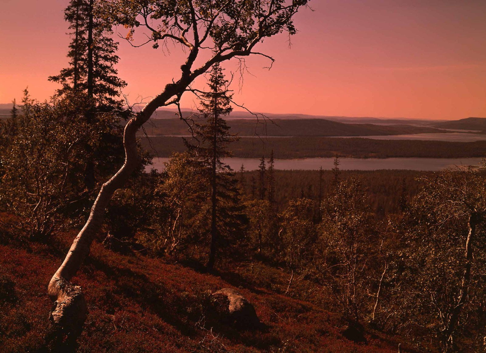 Коллекционные альбомы. ВАДИМ ГИППЕНРЕЙТЕР — ВЕЛИКИЙ ФОТОГРАФ ЗЕМЛИ РУССКОЙ
