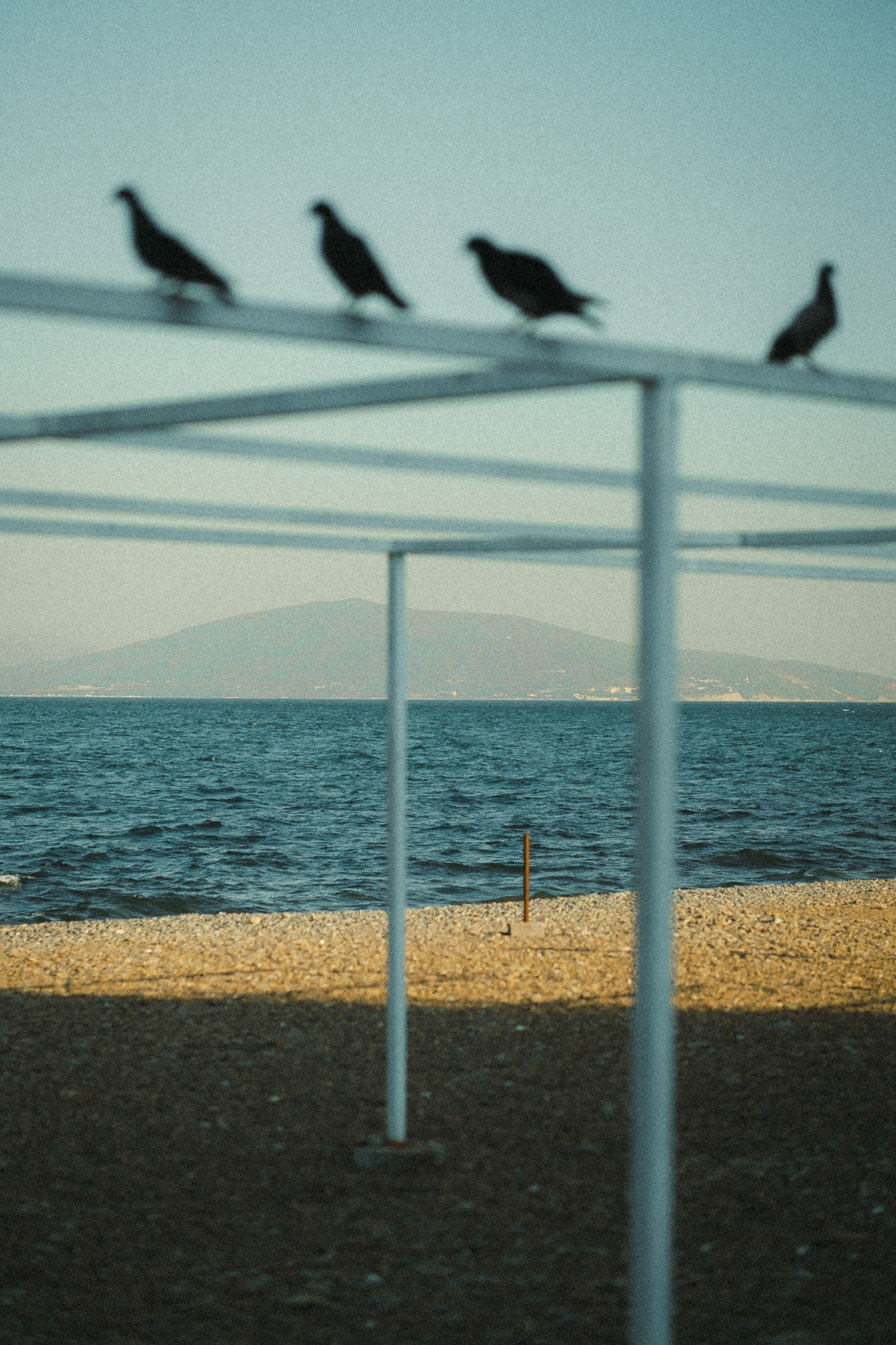 Курс «Увидимся на улице» 2.0