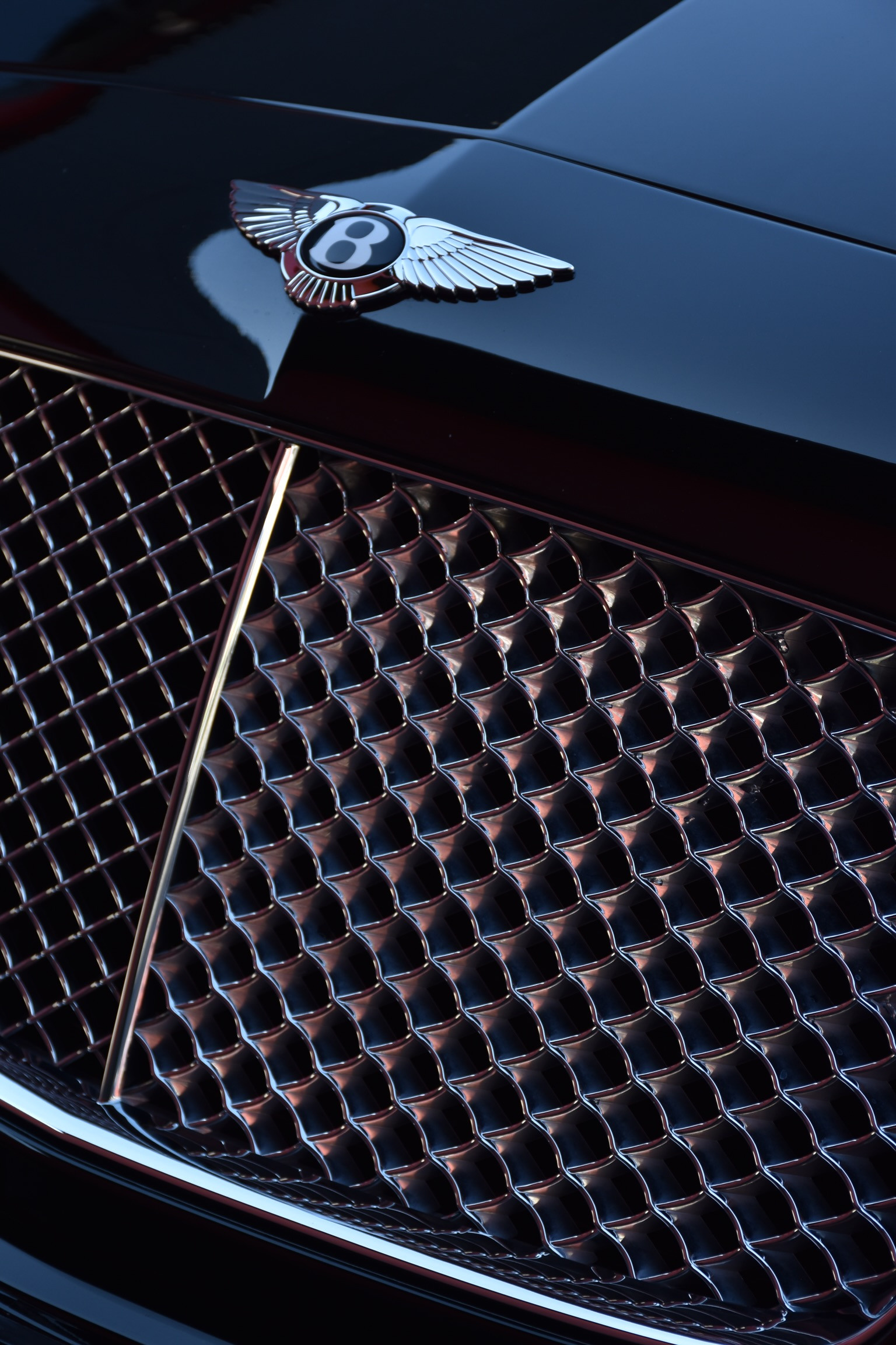 Фотограф в Алматы