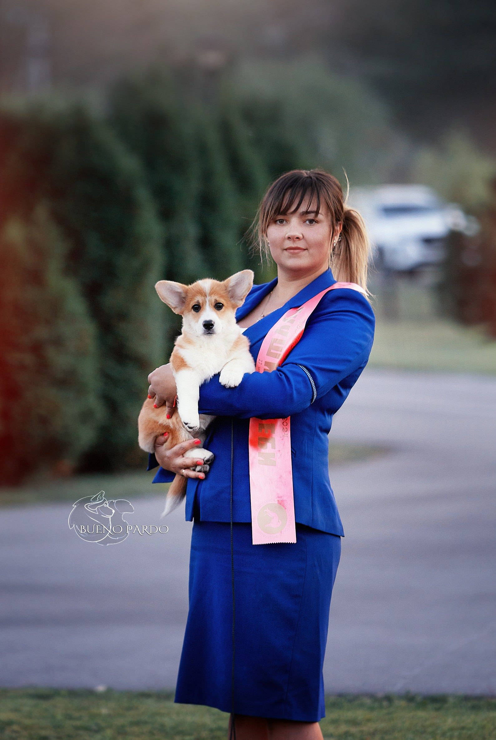 Собаки питомника Bueno Pardo. Питомник собак Акита, Хаски, Корги