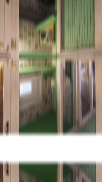 Гостиница для кошек Усики и хвостики, Красноярск