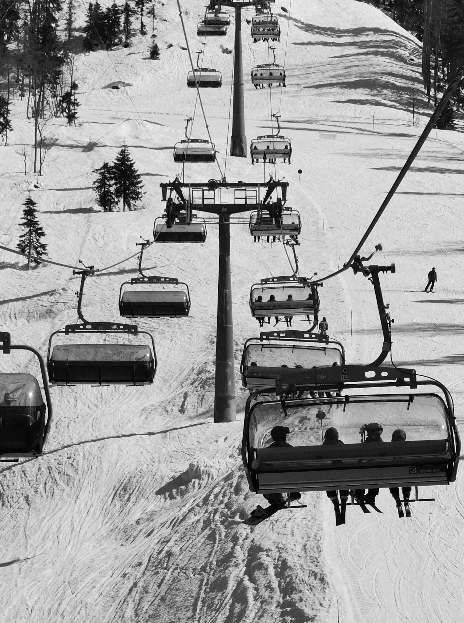 Принты. Марина Горбатова. Фотограф