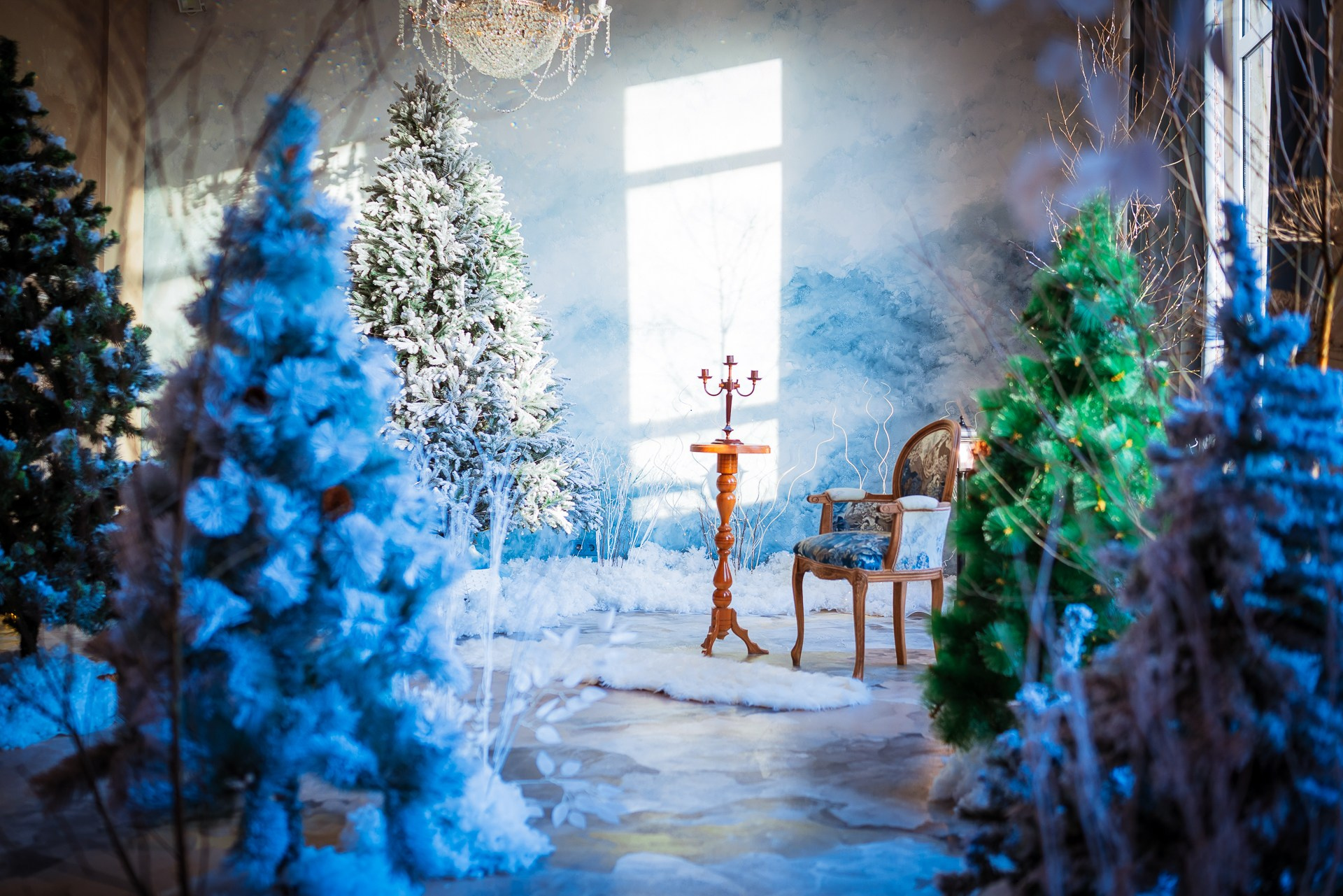 Фотостудия интерьерная в Туле — Давинчи |Davinci