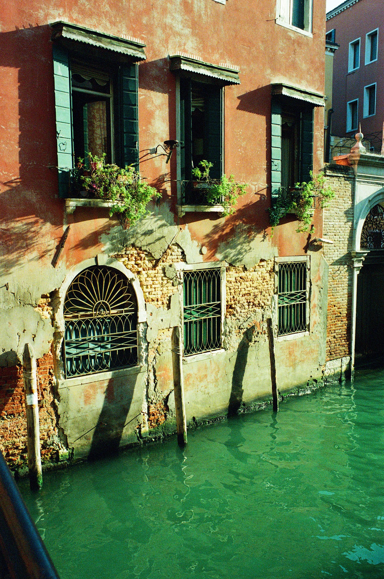 A gastrotourist. Venice