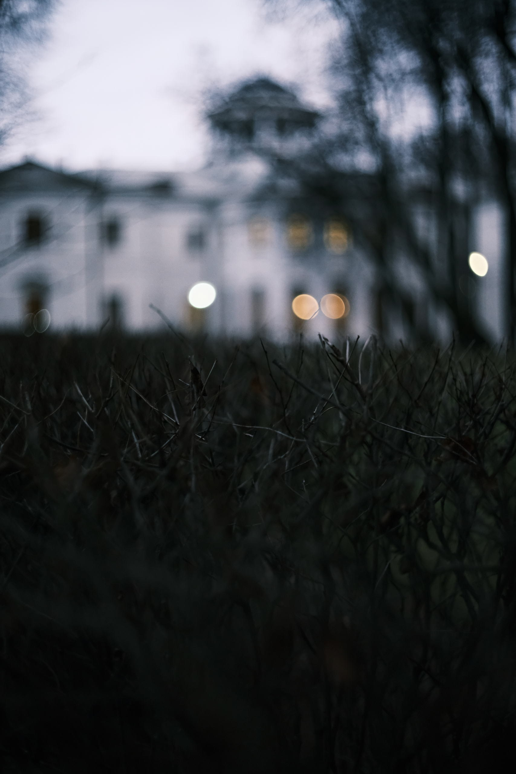 Усадьба Остафьево. Paintings by the artist Sergey Ratchin