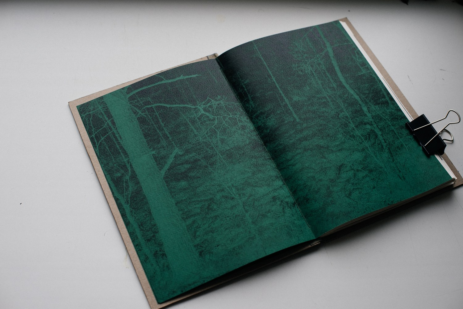 About forest, traps and sorrow. Main