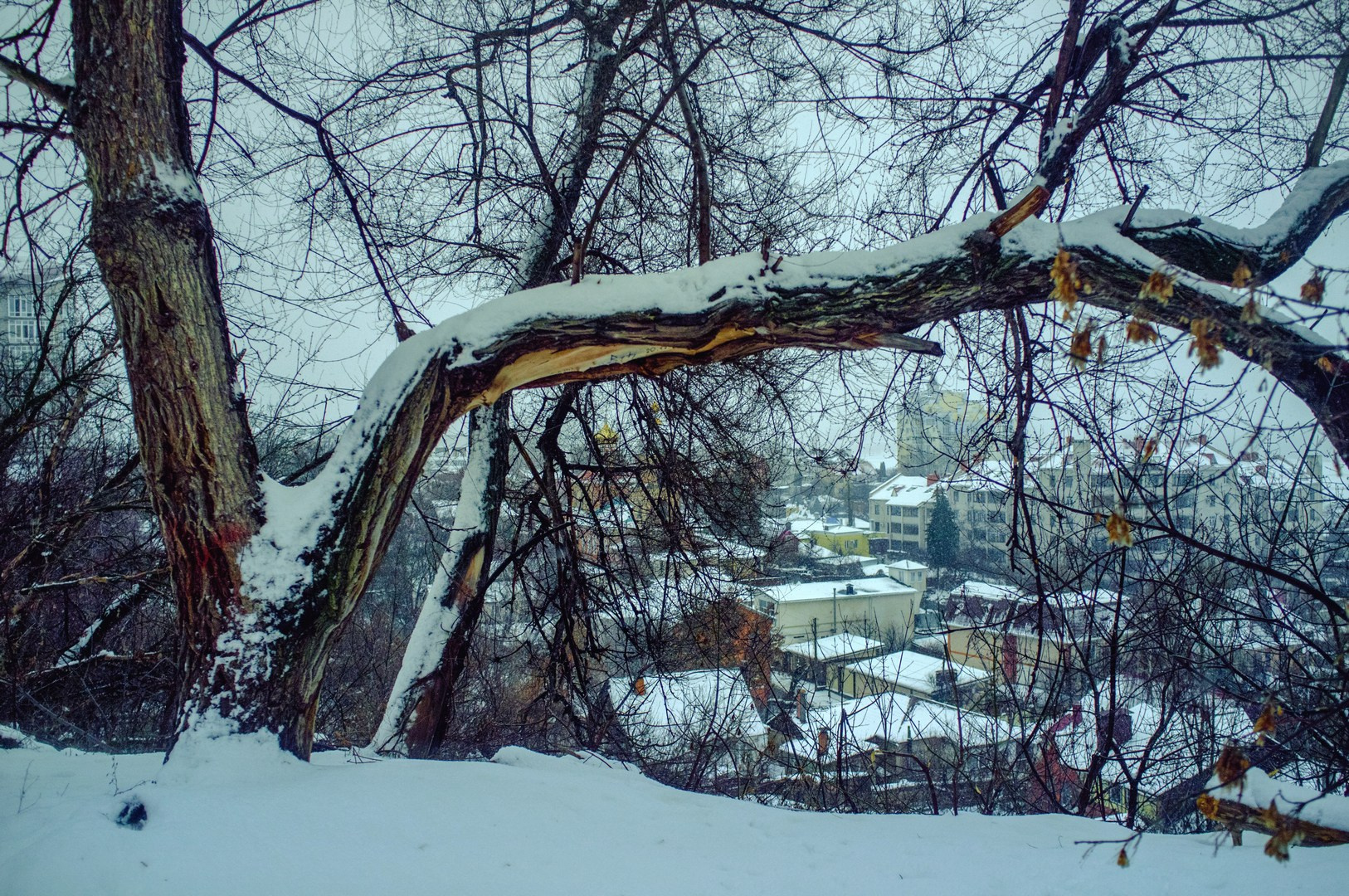 Руслан Шувалов (поэтограф)