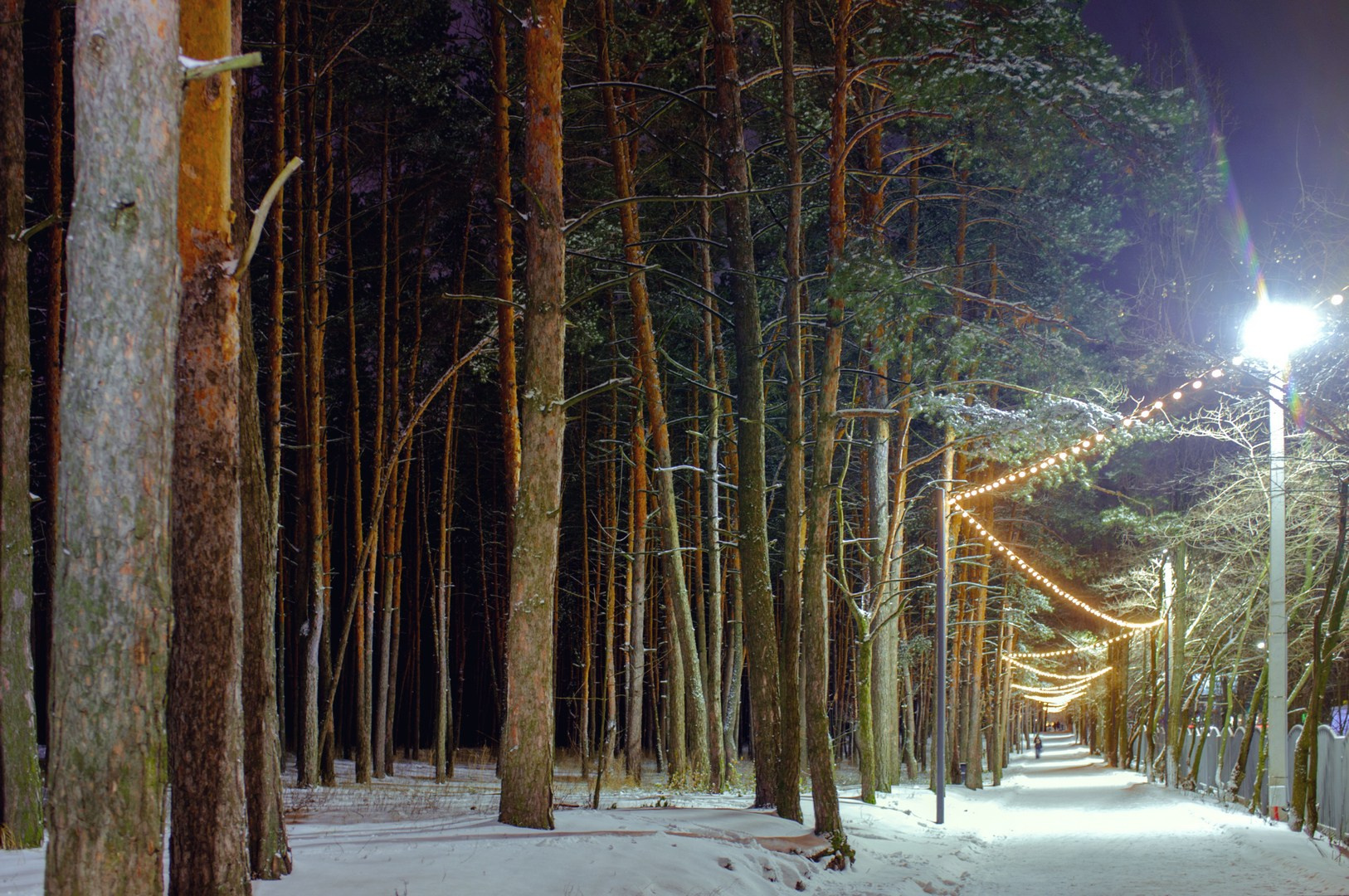 Руслан Шувалов (поэтограф)