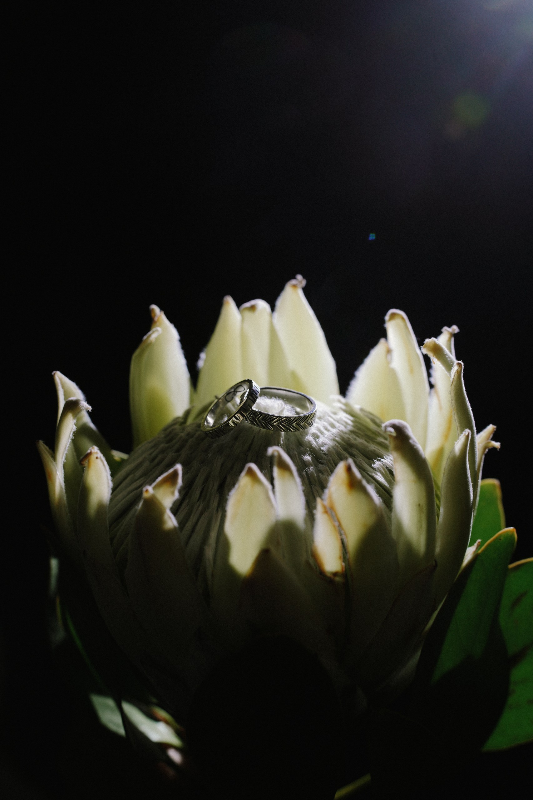 Дима и Ксюша. Организатор мероприятий в Абакане I Ольга Петухова