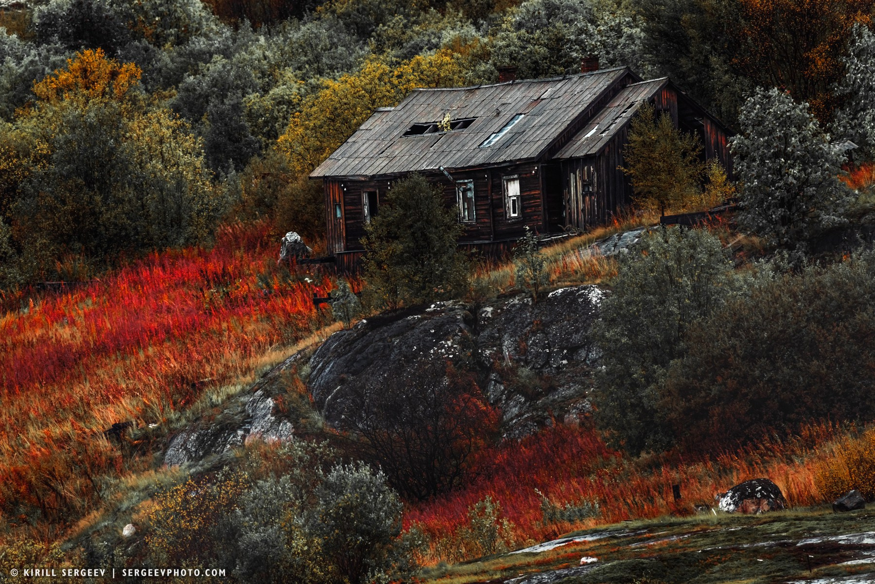 北極奧德賽. 攝影師 基里爾·謝爾蓋耶夫 |莫斯科