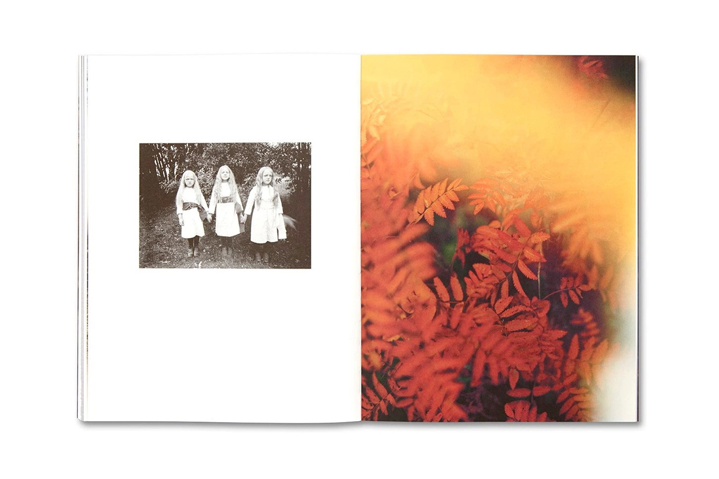 О книге Майи Дэниелс (Maja Daniels) «Elf Dalia». Private image