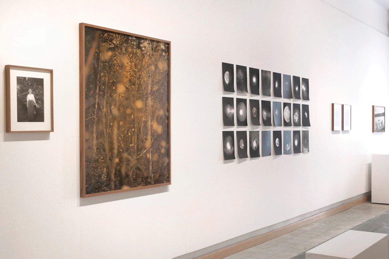 О книге Майи Дэниелс (Maja Daniels) «Elf Dalia». Private image