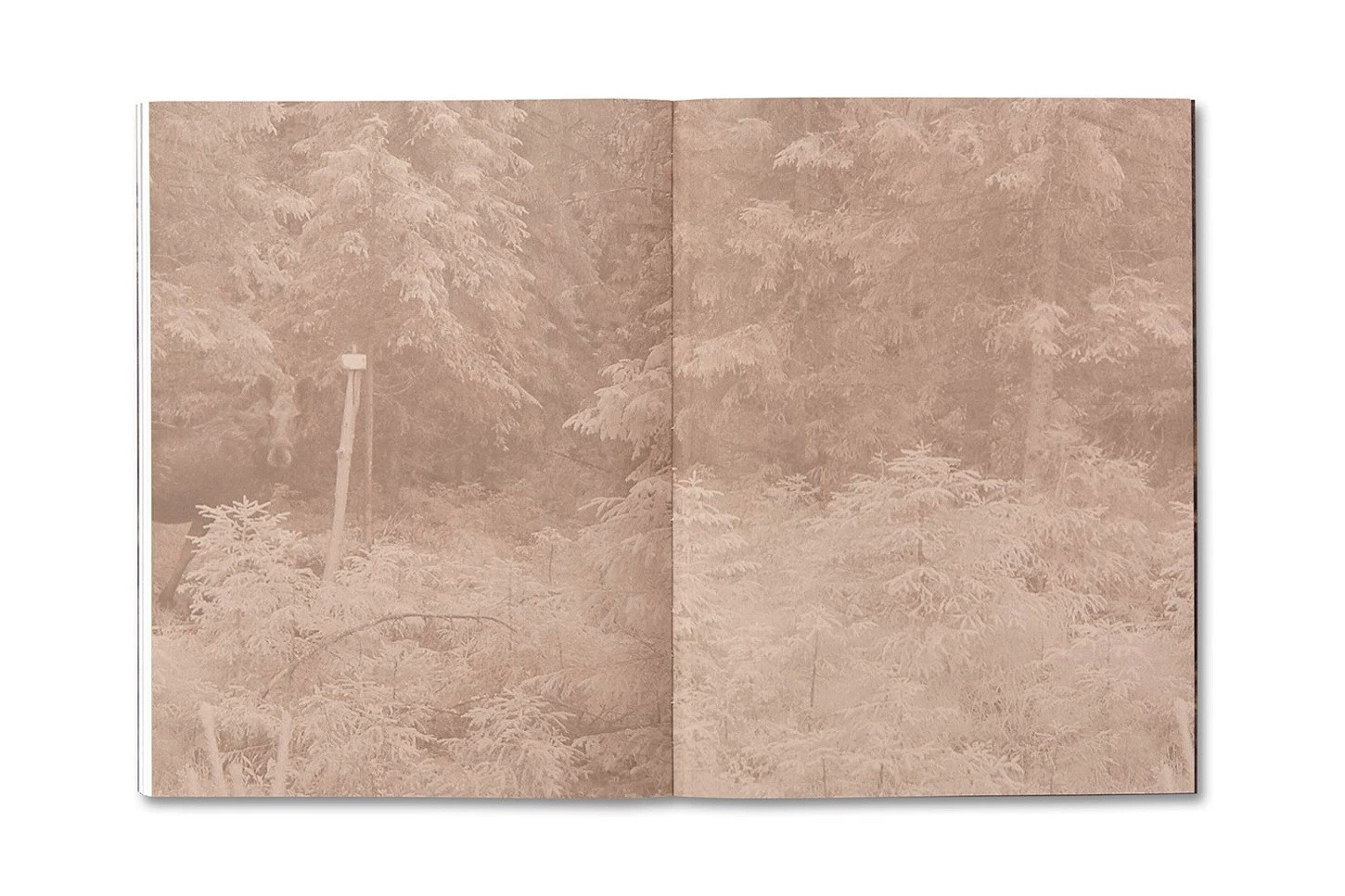 О книге Майи Дэниелс (Maja Daniels) «Elf Dalia». Private image