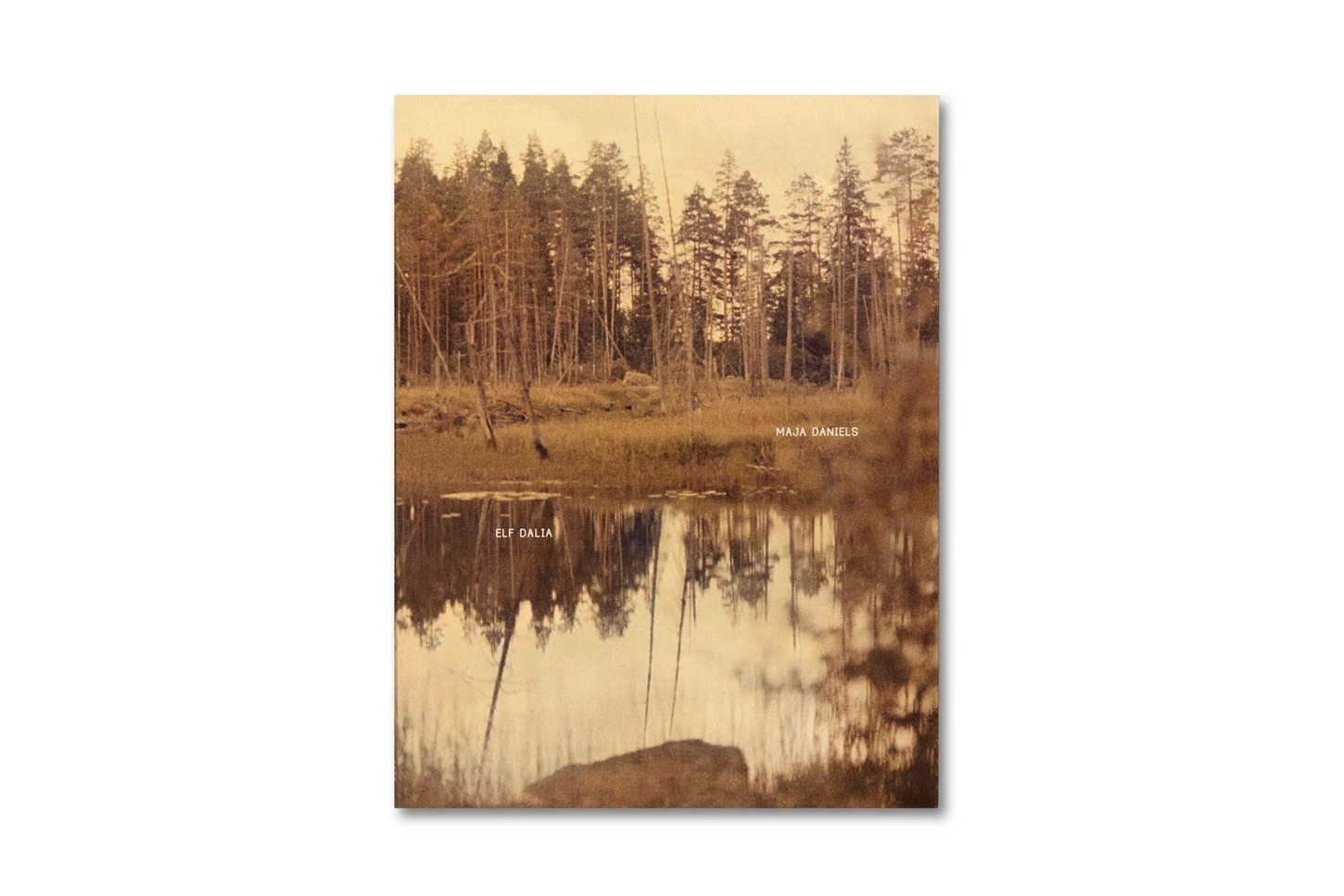 О книге Майи Дэниелс (Maja Daniels) «Elf Dalia». Private image