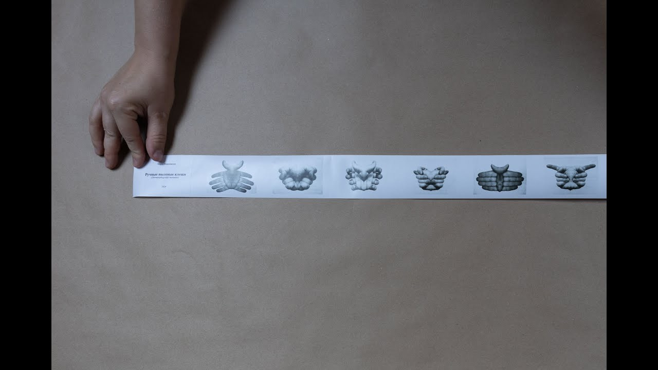 Ручные пылевые клещи. Мария Ковалевская — фотохудожник