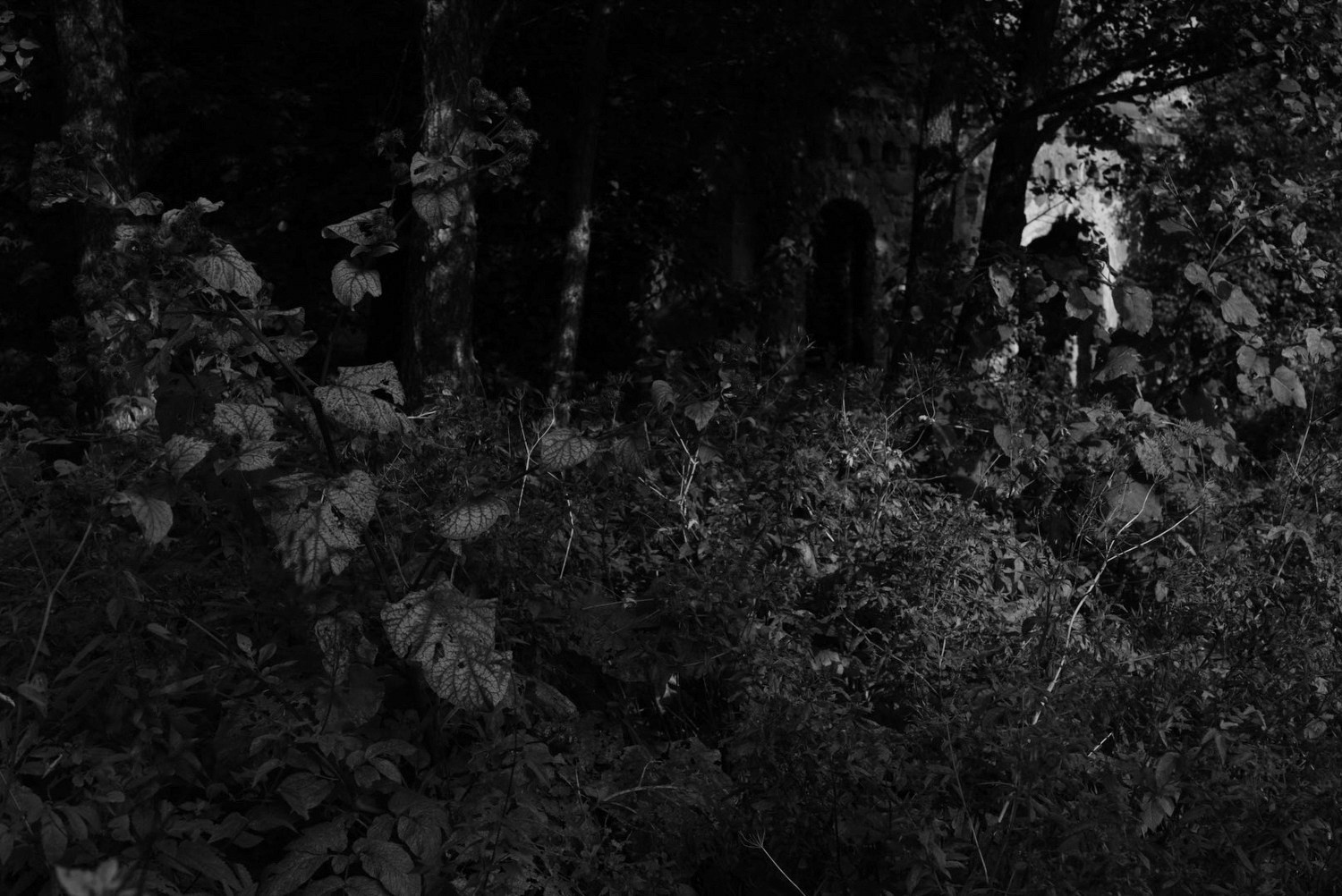 Непокорённая земля. Пылина Ирина — современная фотография