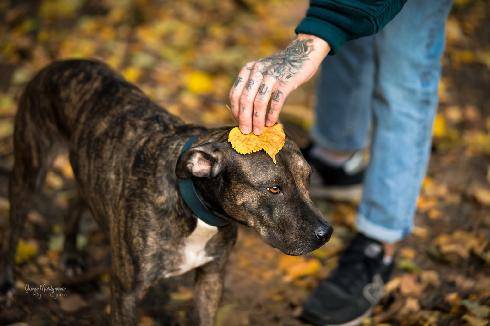 Фотограф-анималист в Санкт-Петербурге Яна Мартынова