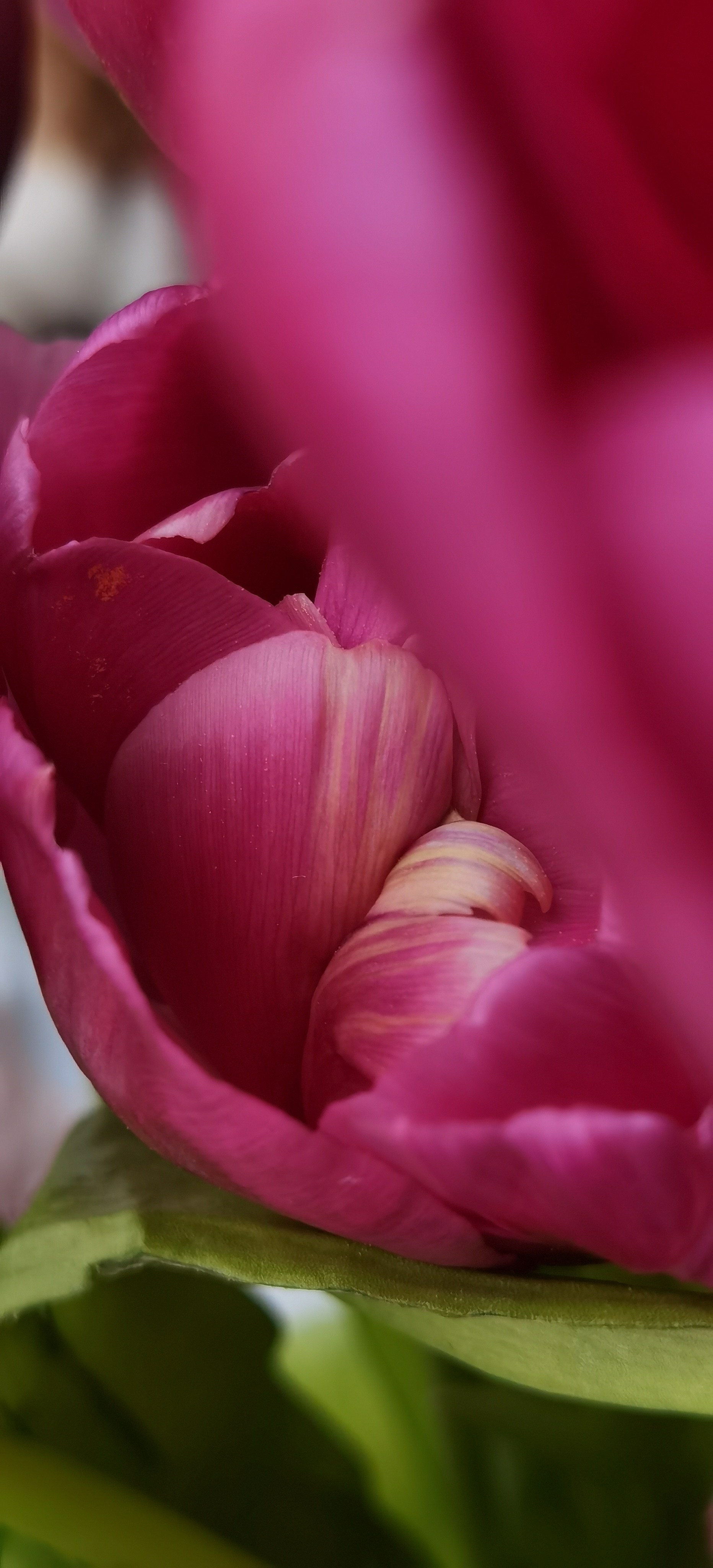 МК Мобильная фотография. Арт-фотограф Крис Л. в Тобольске: портрет, семейные, свадьбы
