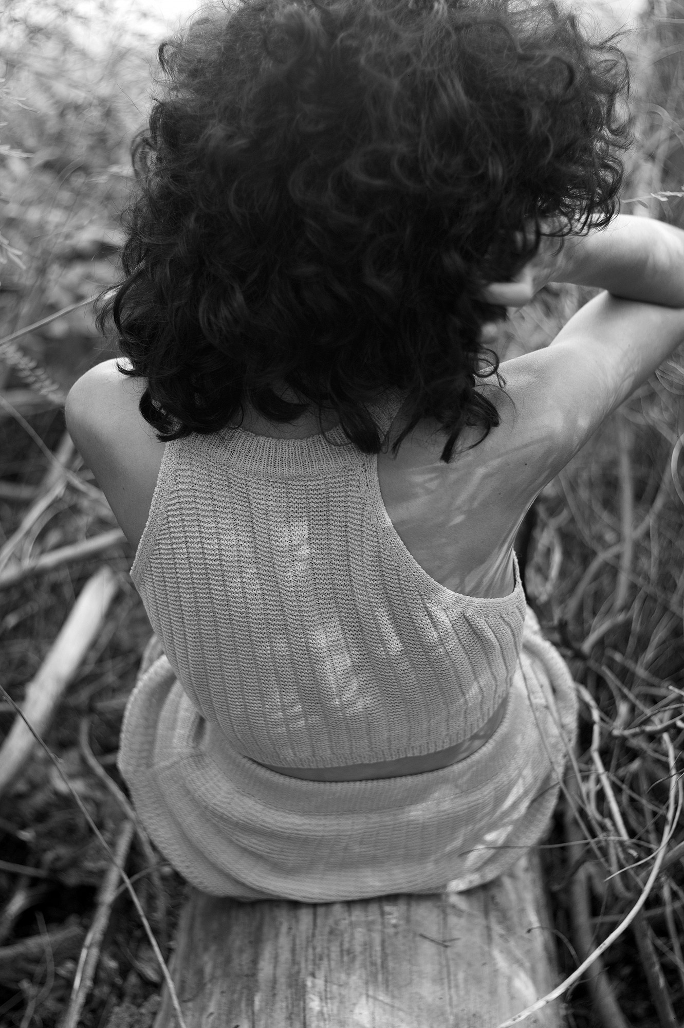 Евгений Холодок