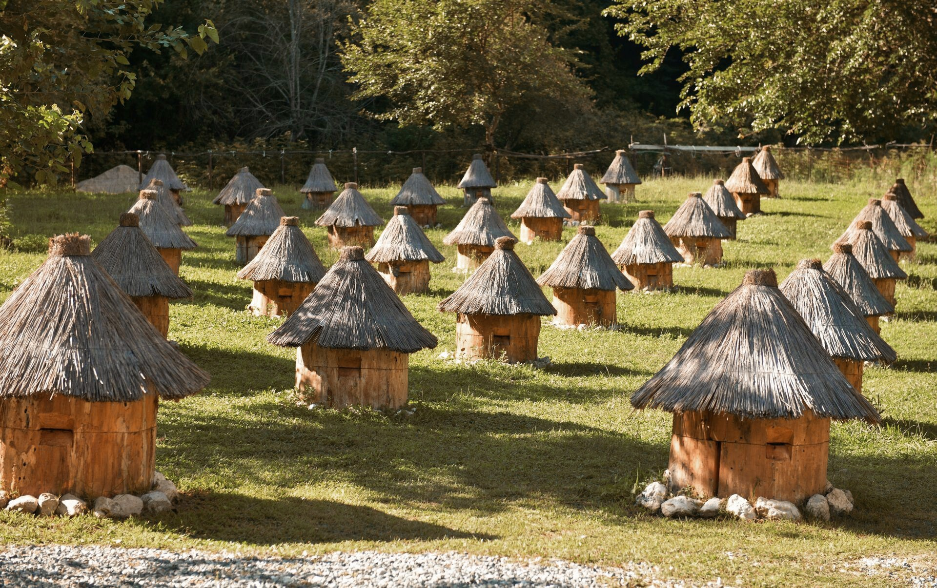 Абхазия. «Мандариновое настроение». Ольга Котова