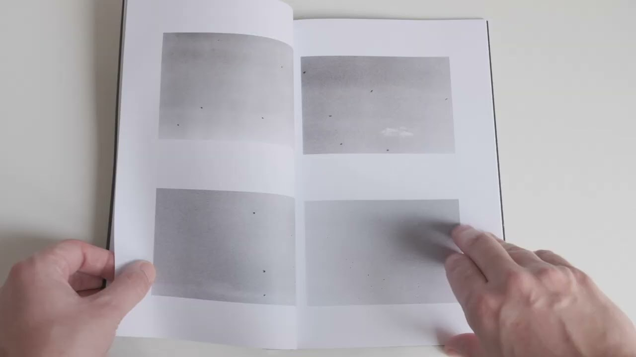 Пьюти-фьют. Игорь Скабелин