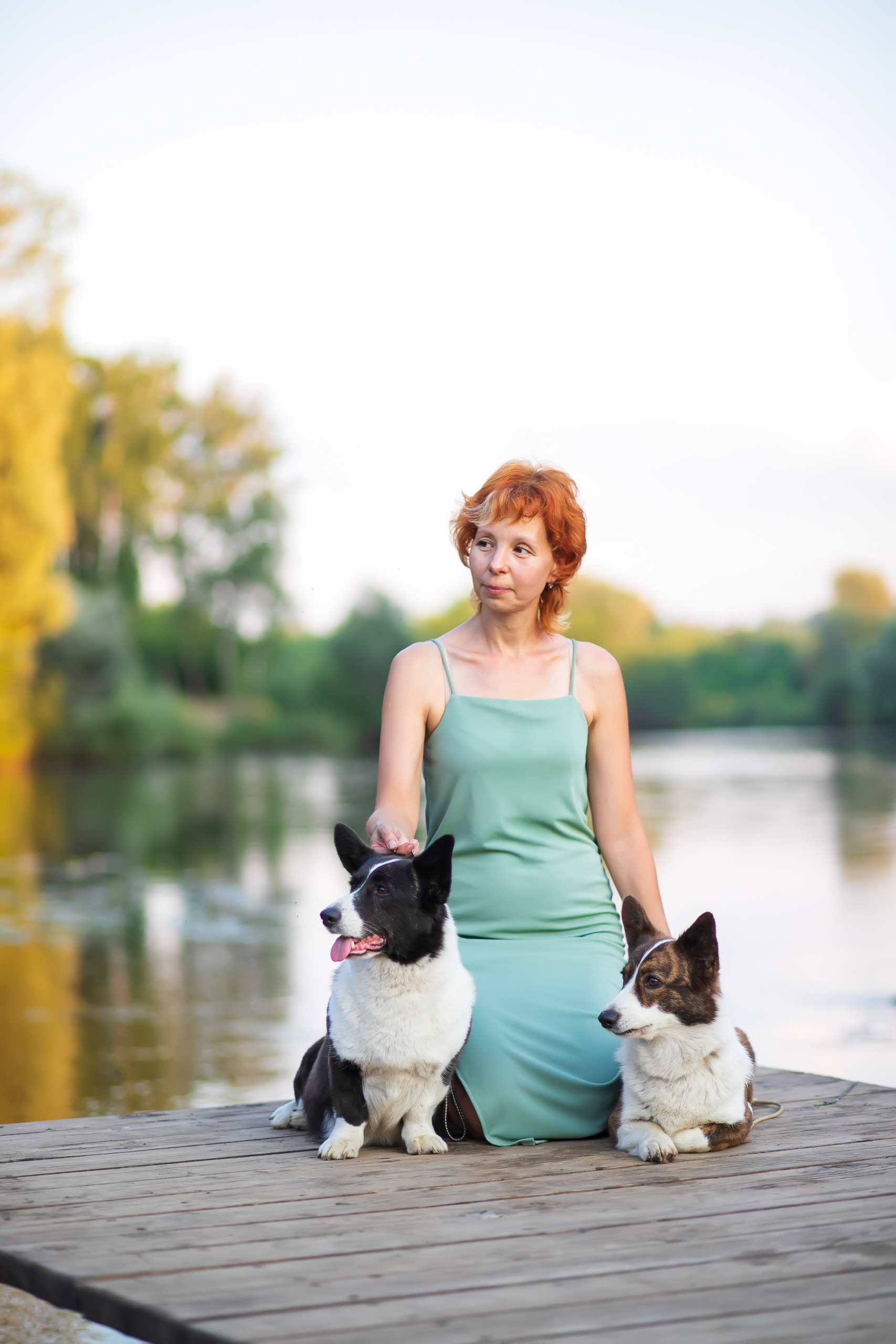 Купить щенка Вельш-корги-кардиган в семейном питомнике — Ice Fantasy