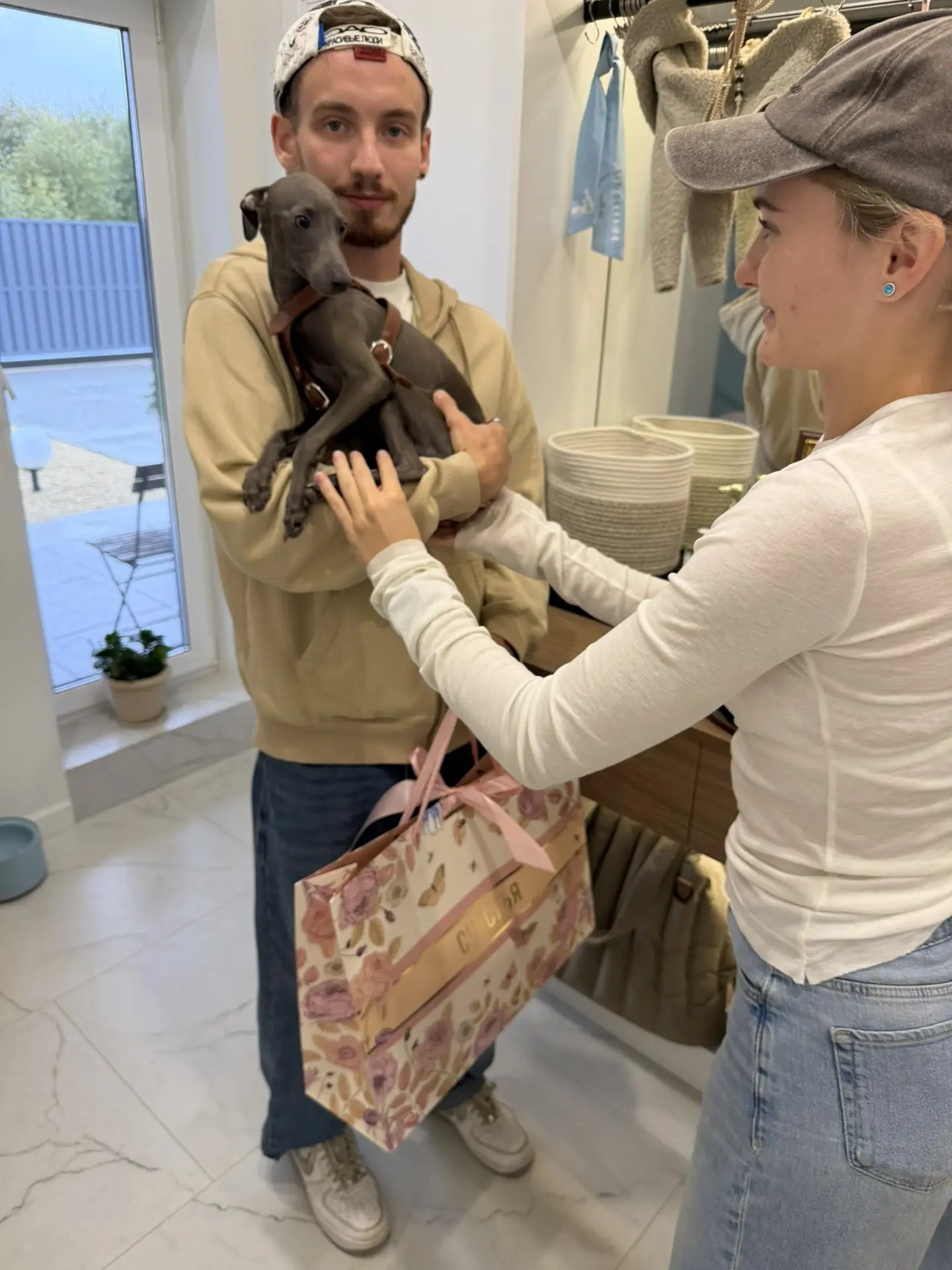 Первые гости в нашем бутике. Professional Italian Greyhound Kennel RKF/FCI ASTI SAPPHIRE 💎 Sochi|St. Petersburg