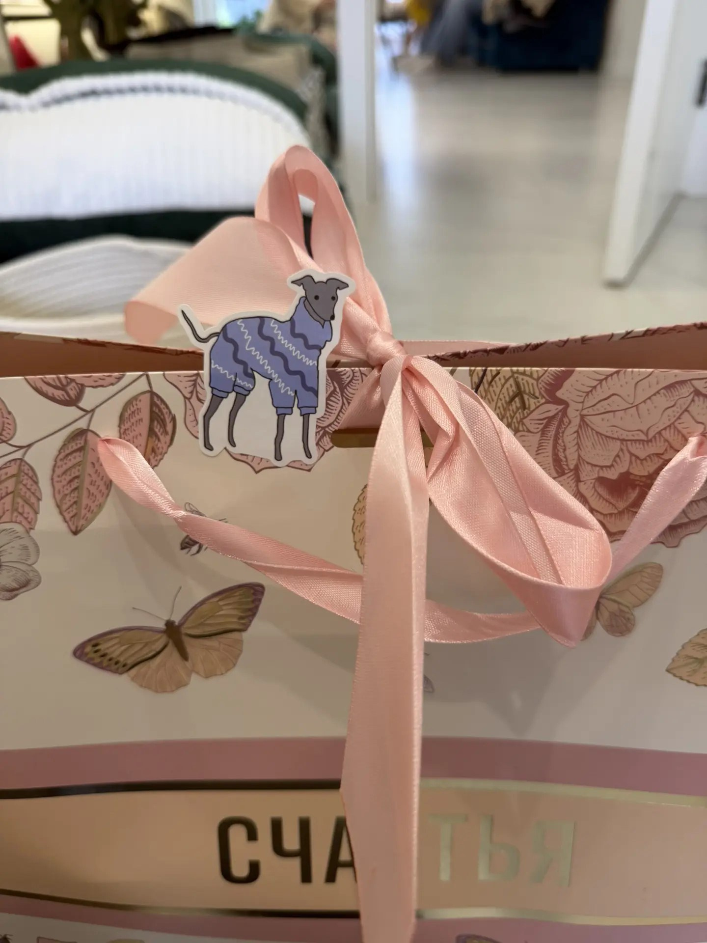 Первые гости в нашем бутике. Professional Italian Greyhound Kennel RKF/FCI ASTI SAPPHIRE 💎 Sochi|St. Petersburg