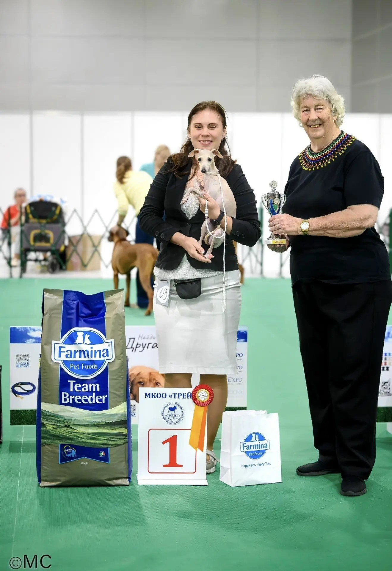 Юная блондинка Орео. Professional Italian Greyhound Kennel RKF/FCI ASTI SAPPHIRE 💎 Sochi|St. Petersburg