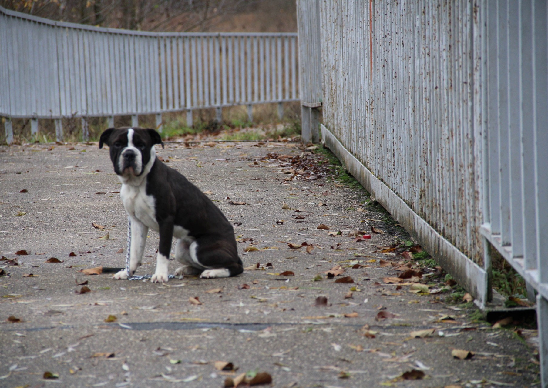 Катя Попова|ЛайфСтайл фотограф
