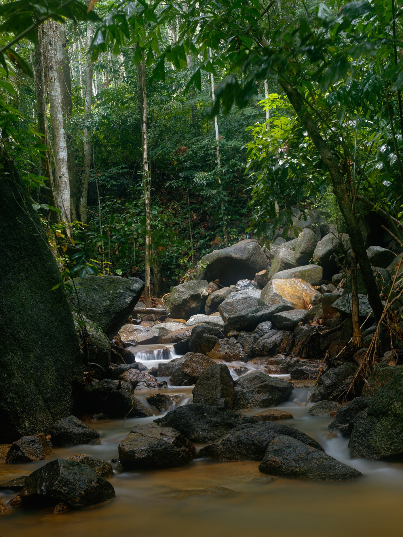 Фотограф на Пхукете Александр Арефьев