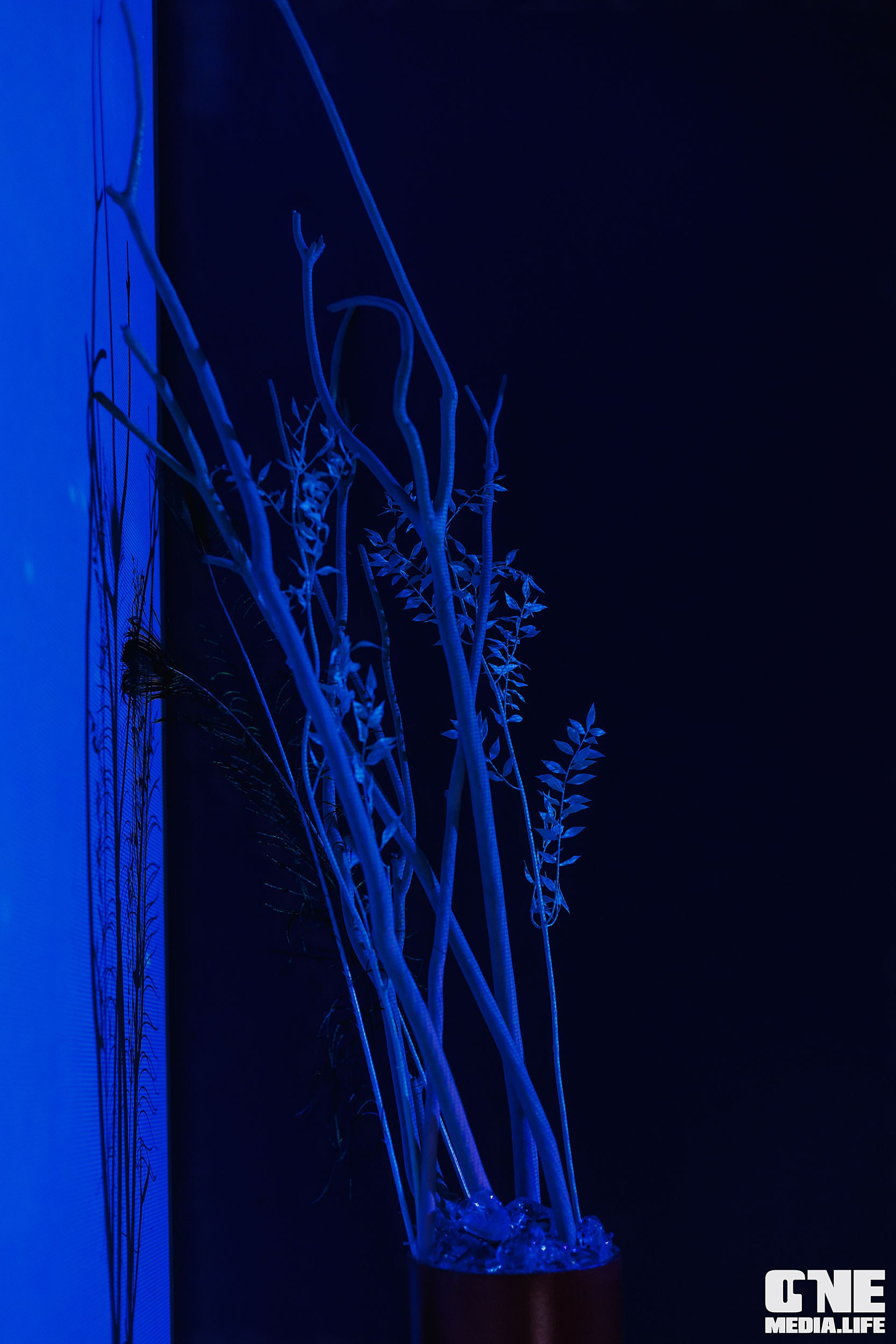 Фоторепортаж из ресторана Океан. One Media Life: фоторепортажи, фотоотчеты с мероприятий и заведений