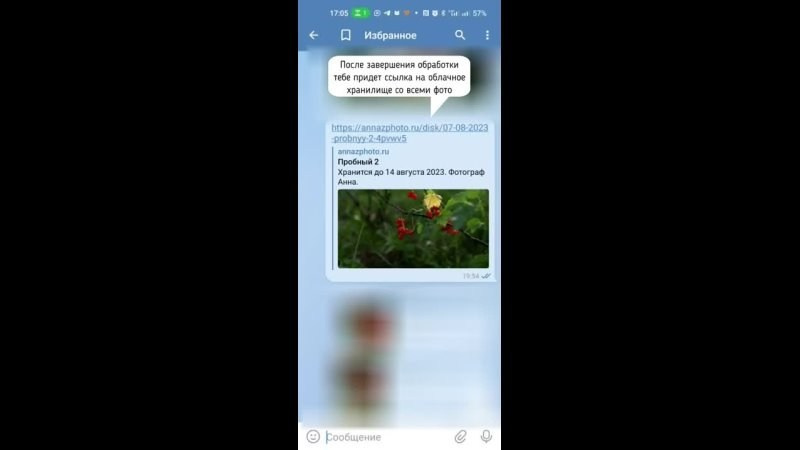Инструкция по скачиванию готовых фотографий. Портретный и семейный фотограф в Москве Анна Захарова