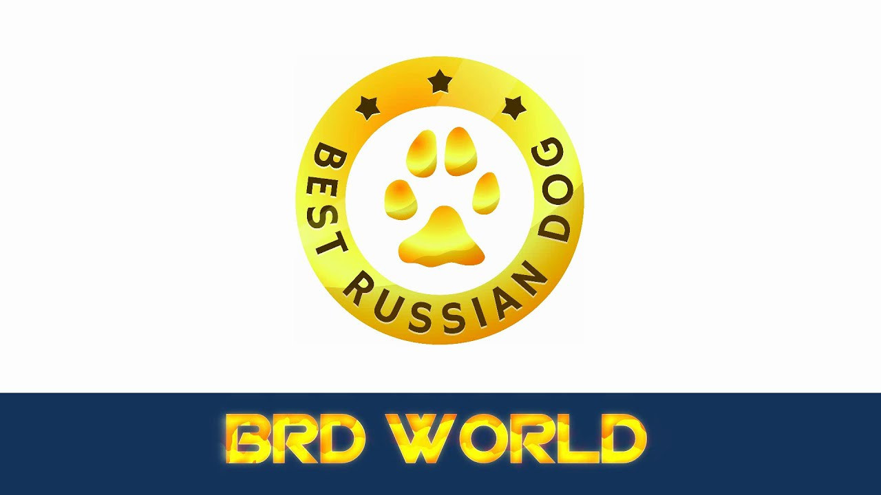 Интервью для BRD WORLD. ФОТОГРАФ-АНИМАЛИСТ l LANA POLYAKOVA