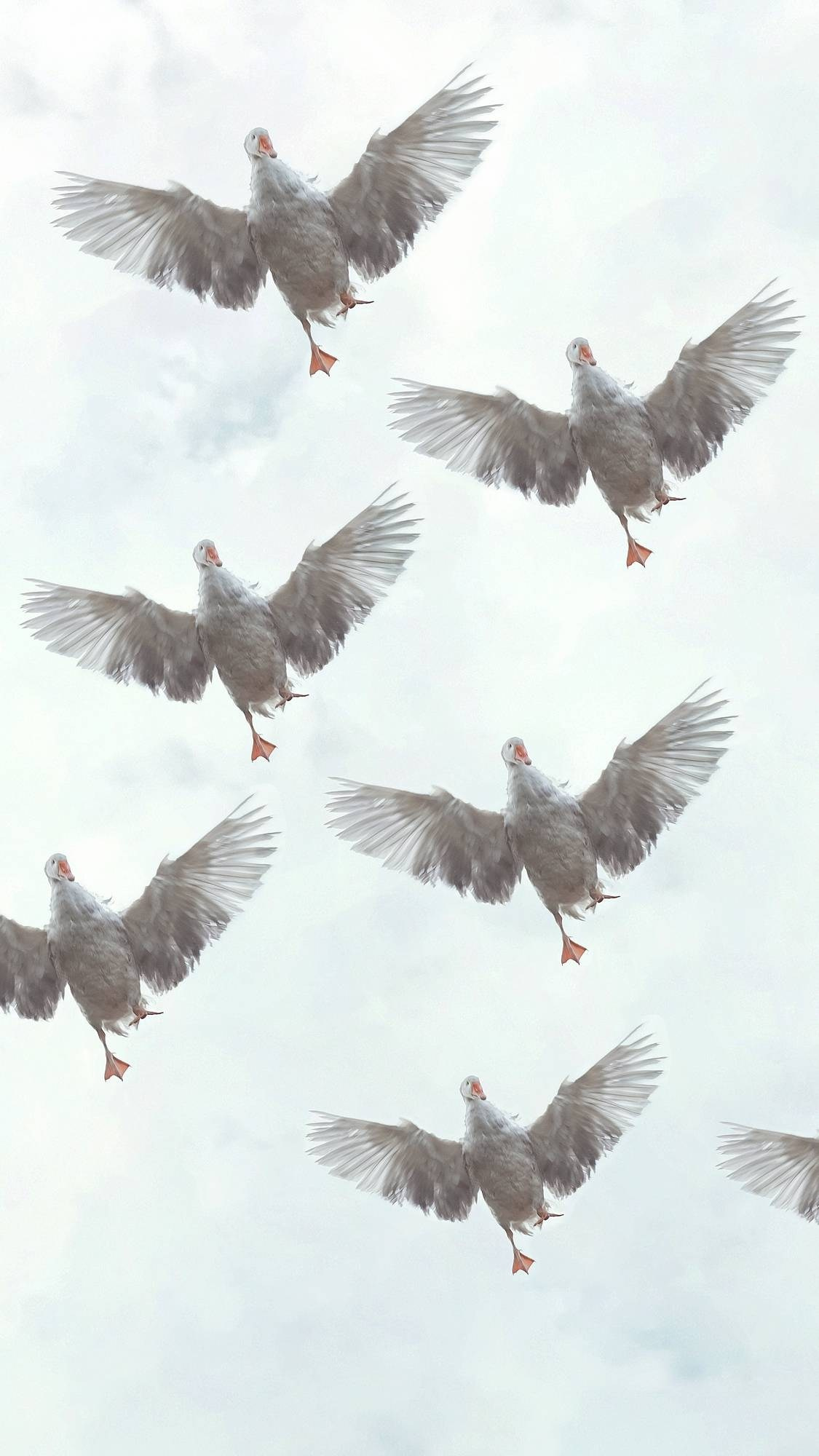 Групповые выставки / Group exhibitions. Visual artist Olga Burmistrova