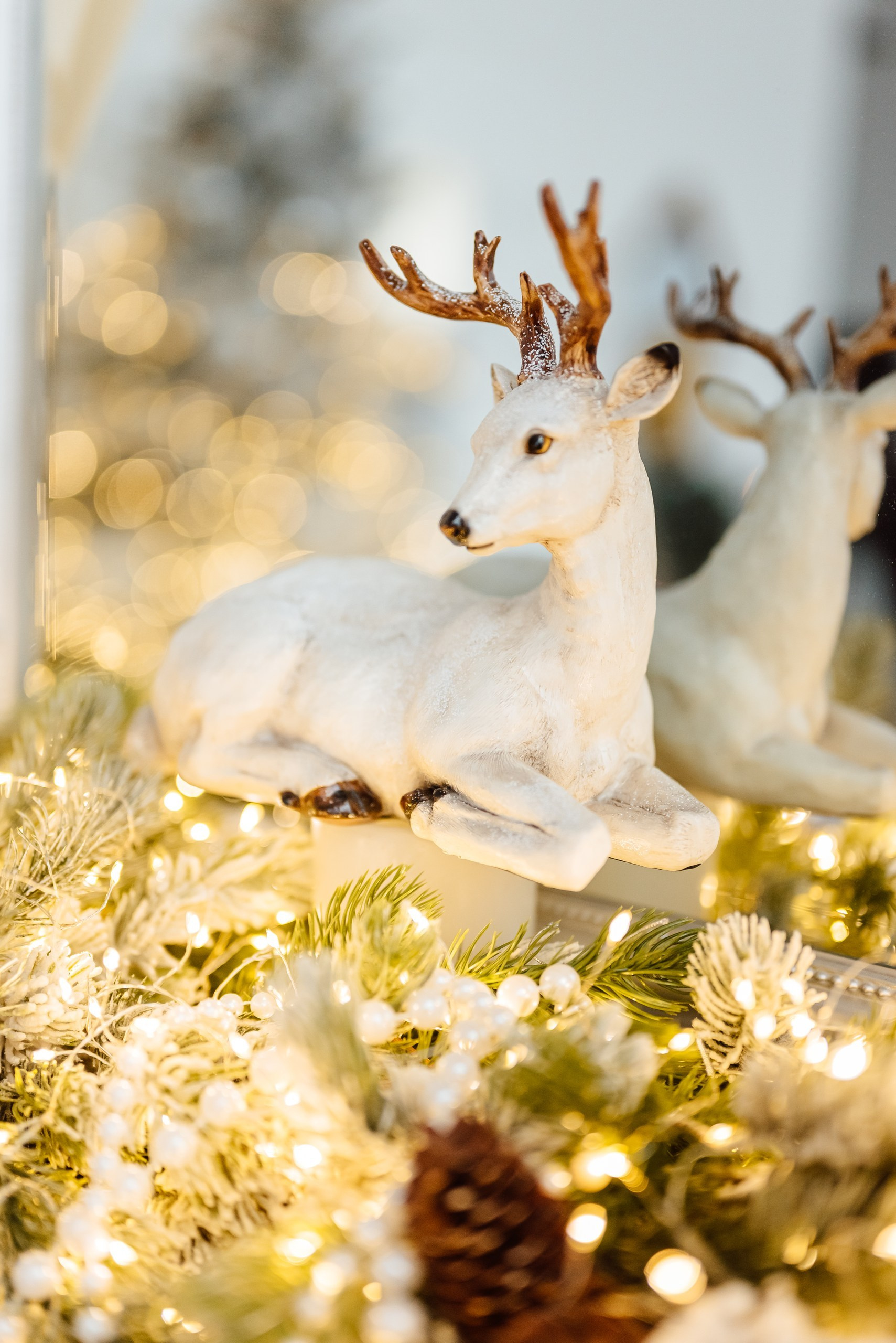 Фотостудия Persona. Понравилась студия? Напишите — организую съёмку именно здесь. Фотограф в Минске Людмила Дутко