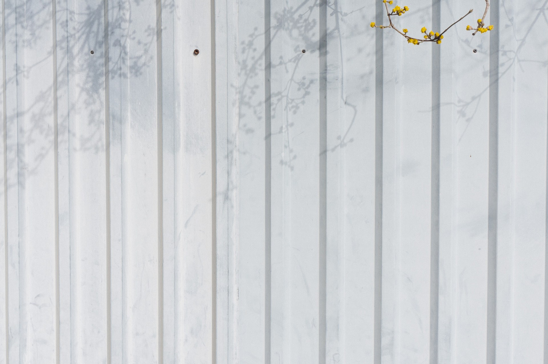 Визуальные заметки