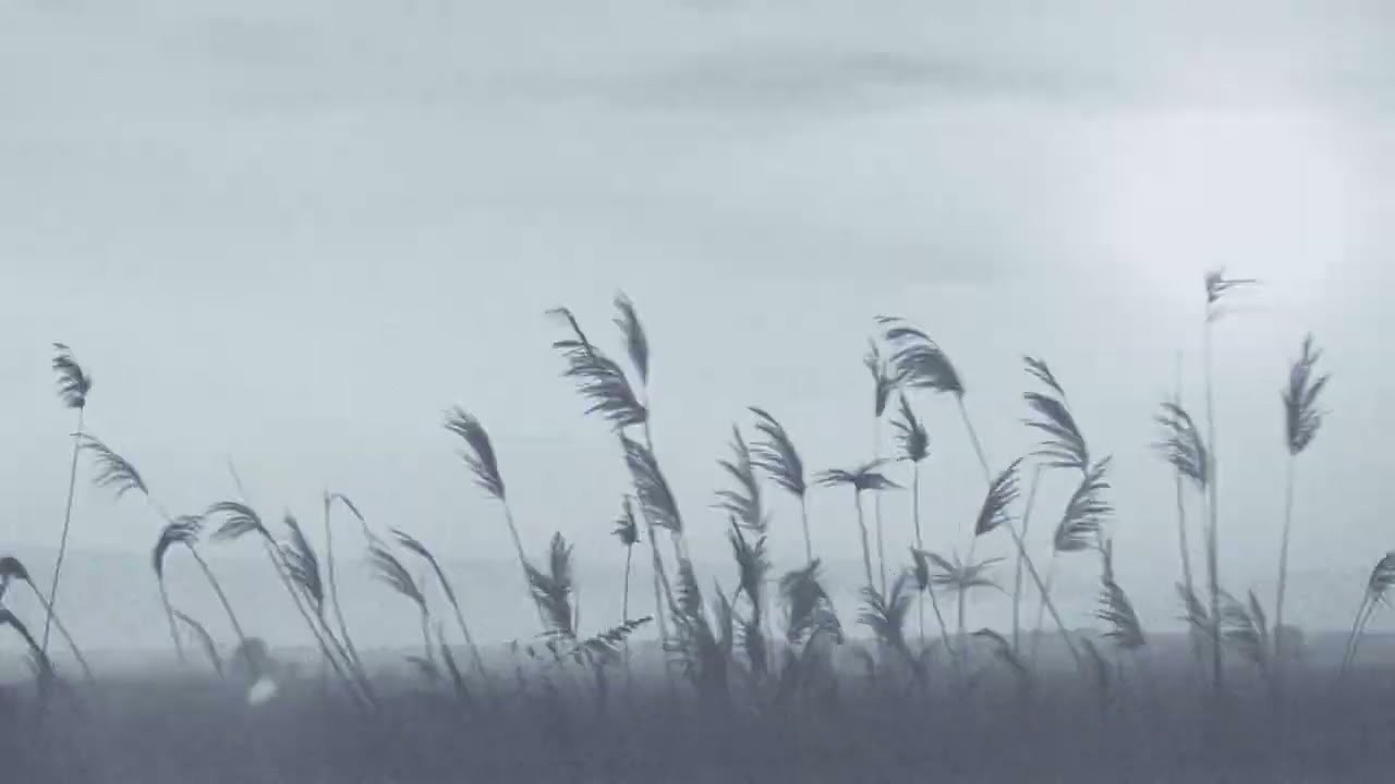 Filming life. POLINA MÔMOT