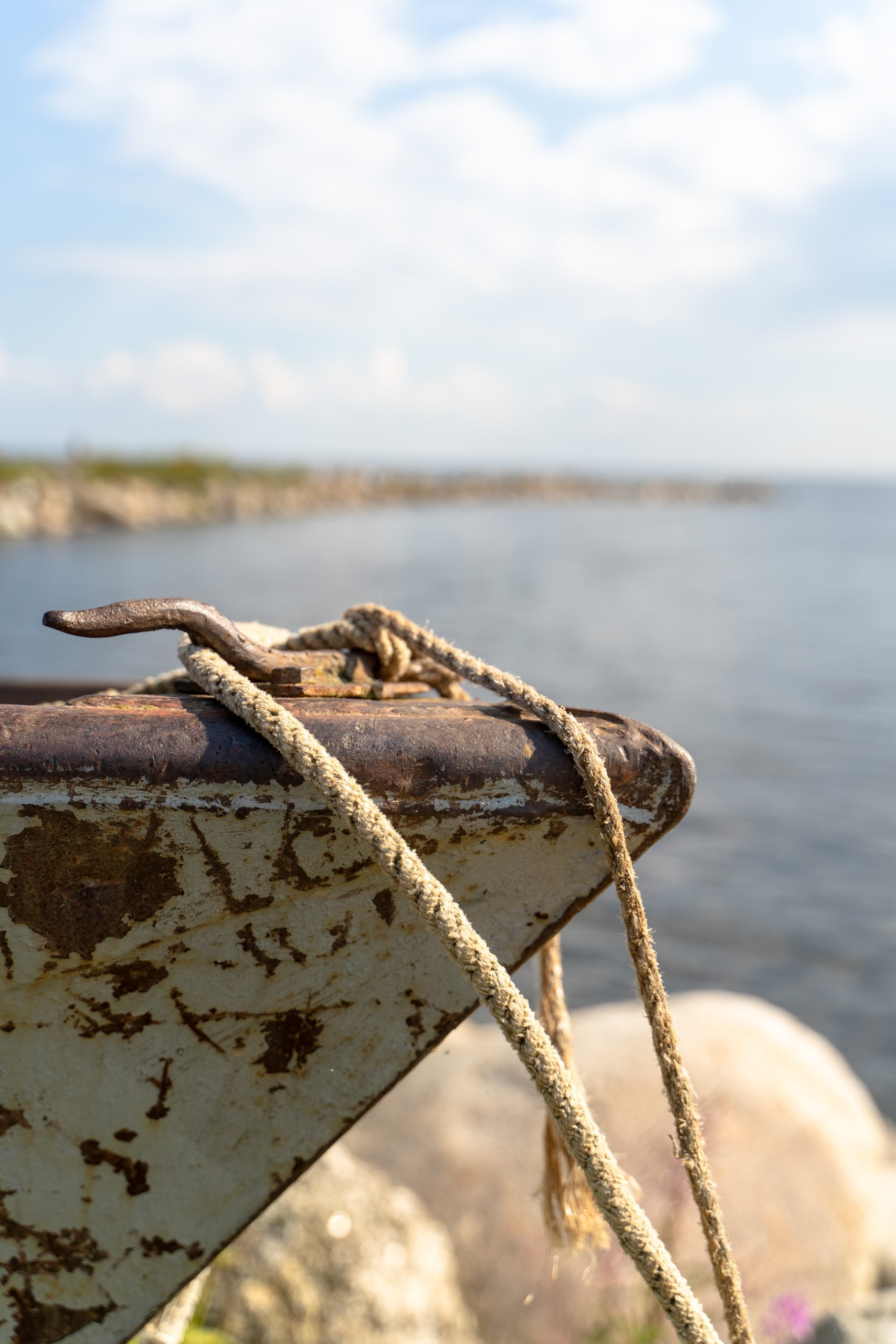 Anouk Moree кейс. SMM, Фотопродакшн в Санкт-Петербурге