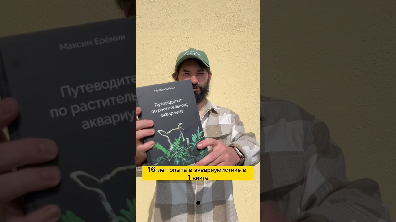 Книга написана и отправлена в печать. Home